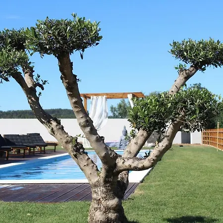 Villa Monte Teo *